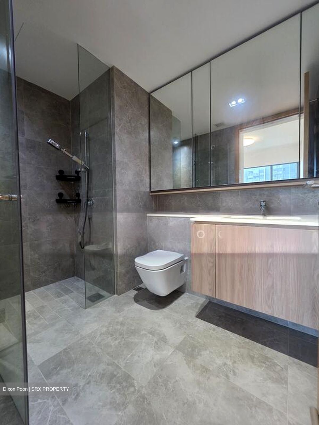 Twin Vew (D5), Apartment #503402171